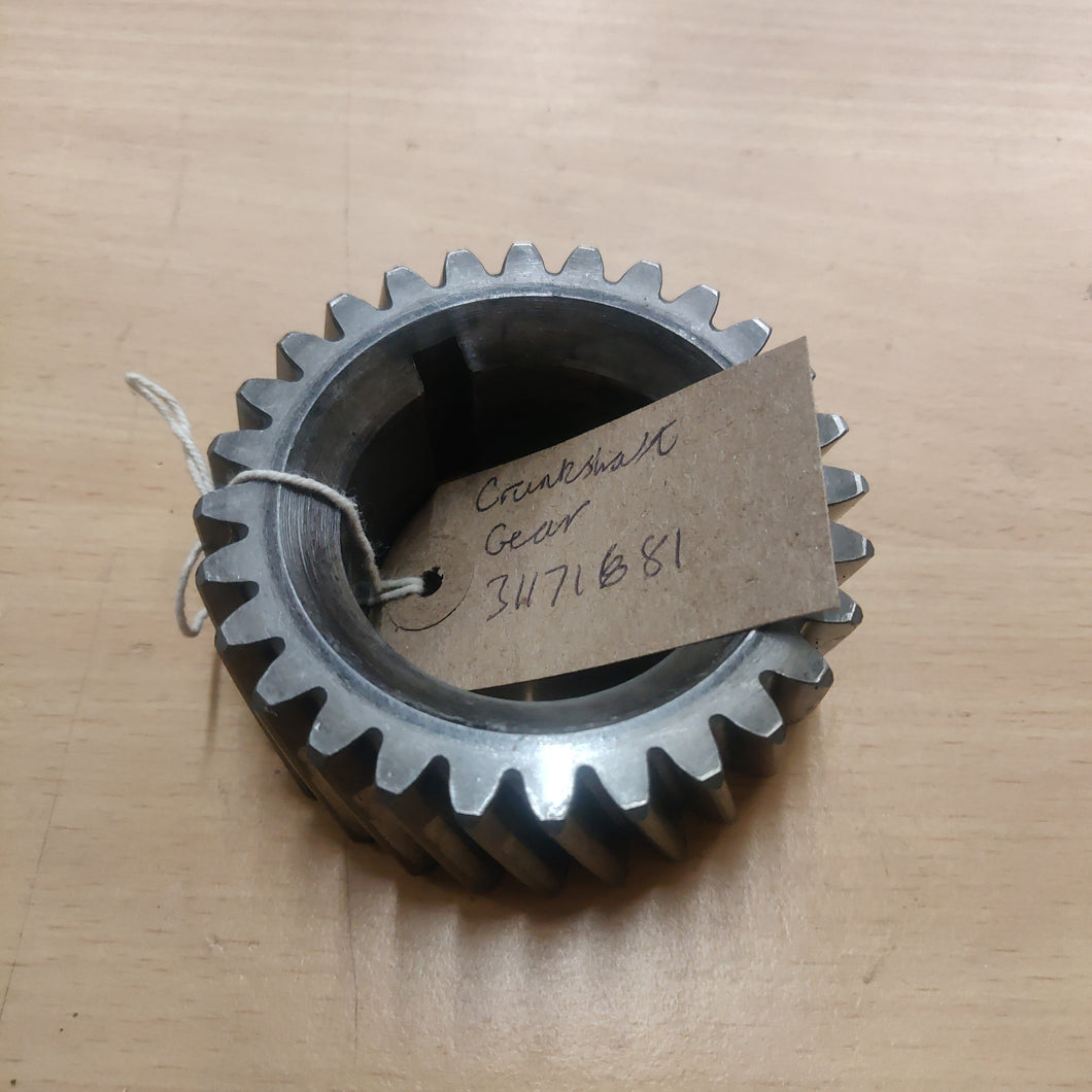 Crankshaft Gear 31171681